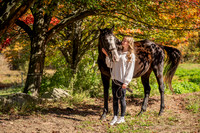 Ally_Creighton-3
